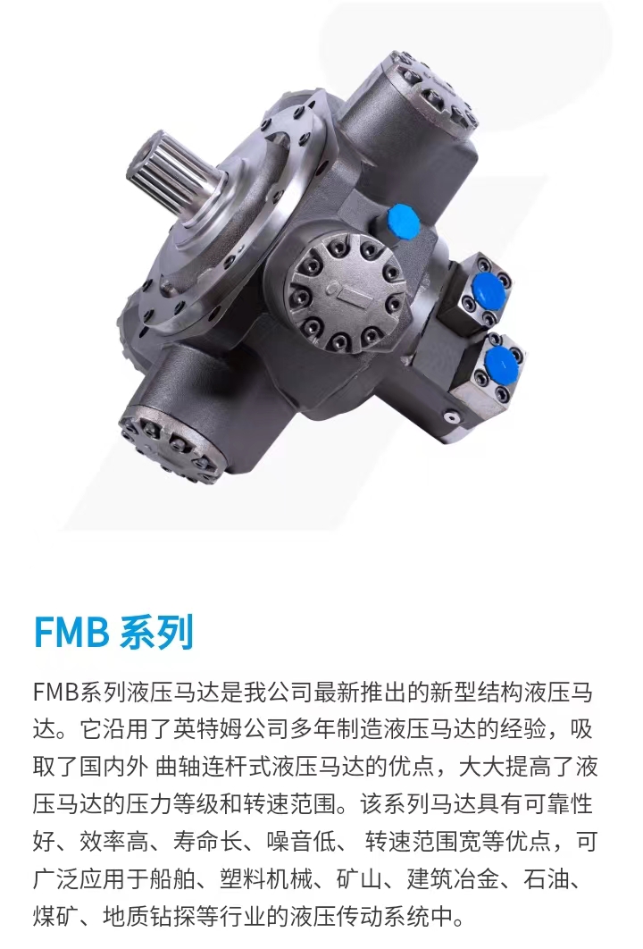 新型结构的液压马达，广泛应用在船舶、塑料机械、工程机械石油煤矿的行业的液压传动系统中